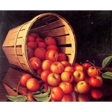 Apples tumbling from a basket