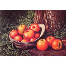 Still Life with Apples in a New York Giants Cap