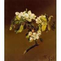 A Spray of Apple Blossoms