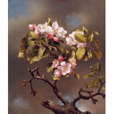 Branch of Apple Blossoms against a Cloudy Sky