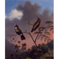 Brazilian Ruby Hummingbirds