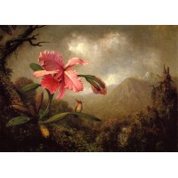 Orchid and Hummingbird near a Mountain Waterfall