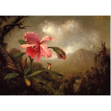 Orchid and Hummingbird near a Mountain Waterfall