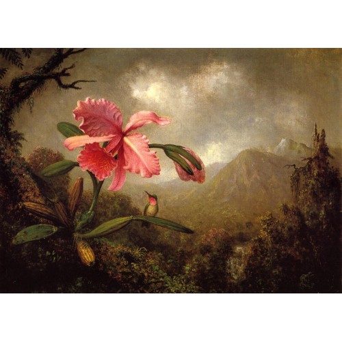 Orchid and Hummingbird near a Mountain Waterfall