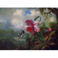 Orchid and Hummingbirds near a Mountain Lake