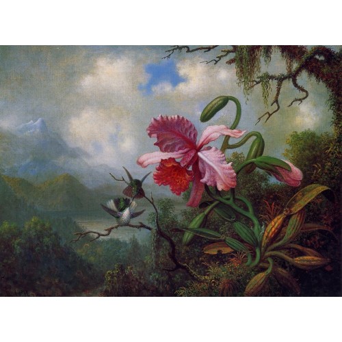 Orchid and Hummingbirds near a Mountain Lake