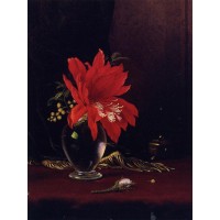 Red Flower in a Vase