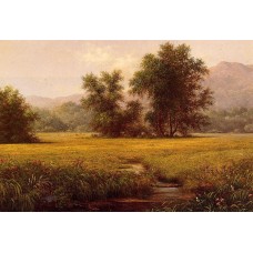 The Meadow