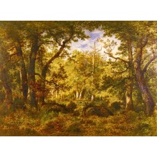 A Sunlit Clearing In The Forest At Fontainebleau
