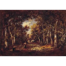 The Forest of Fontainebleau