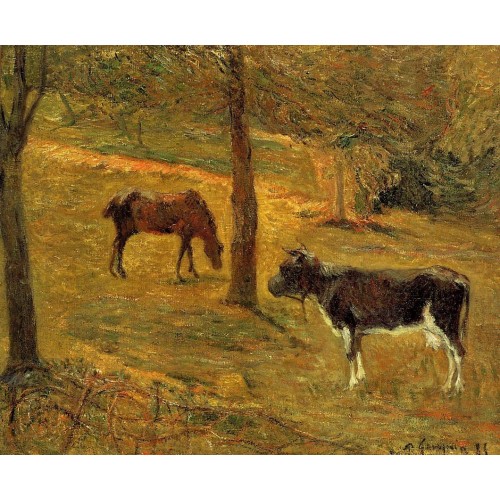 Horse and Cow in a Field