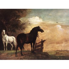 Horses in a Field