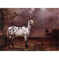 The Spotted Horse