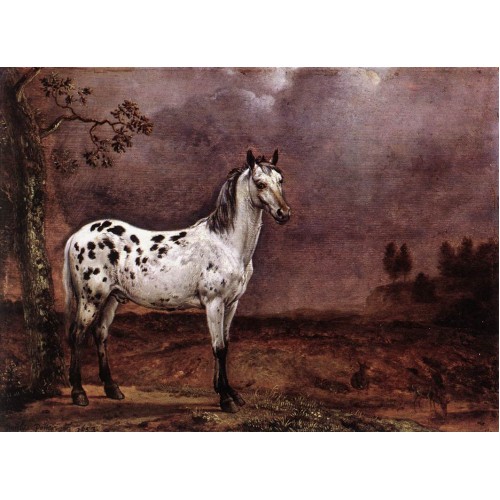 The Spotted Horse