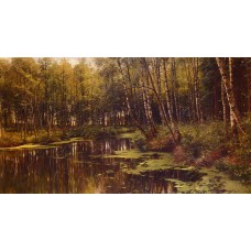 A Woodland Pond