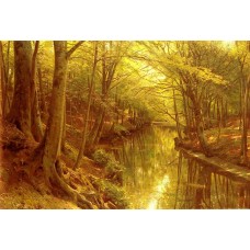 A Woodland Stream