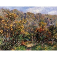 Landscape with Mimosas