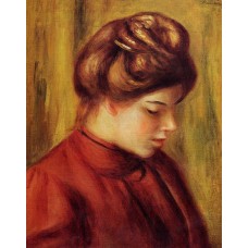 Profile of a Woman in a Red Blouse