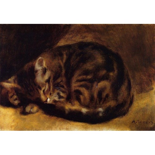 Sleeping Cat