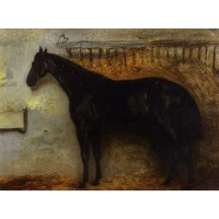 Black Horse in a Stable