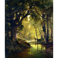 Angler in a forest interior