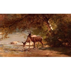 Deer in a Landscape