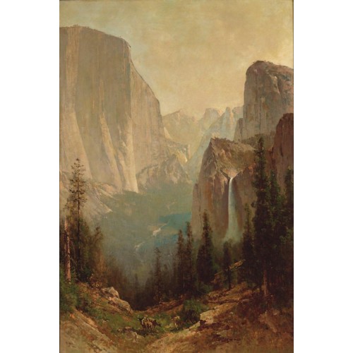 Early morning yosemite valley