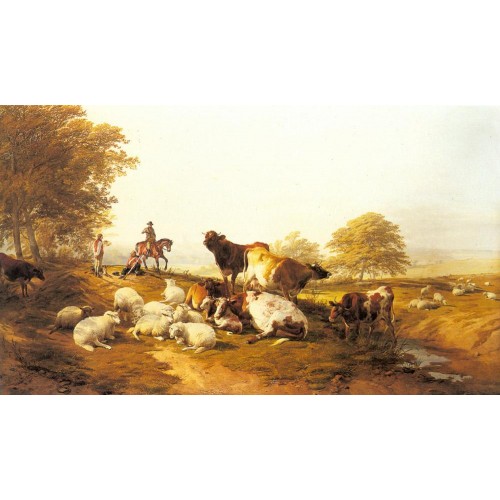 Cattle and Sheep Resting in an Extensive Landscape