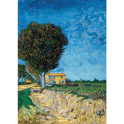 A lane near arles