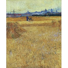 Arles view from the wheat fields