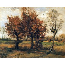 Autumn landscape with four trees