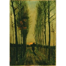 Avenue of poplars at sunset