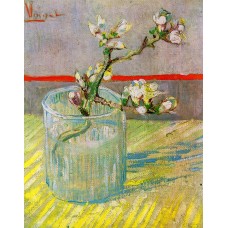 Blossoming Almond Branch in a Glass