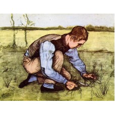 Boy Cutting Grass with a Sickle