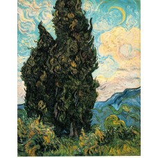 Cypresses