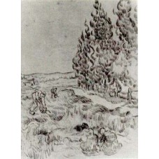 Cypresses with four people working in the field