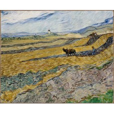 Enclosed field with ploughman