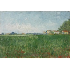 Farmhouses in a wheat field near arles 2