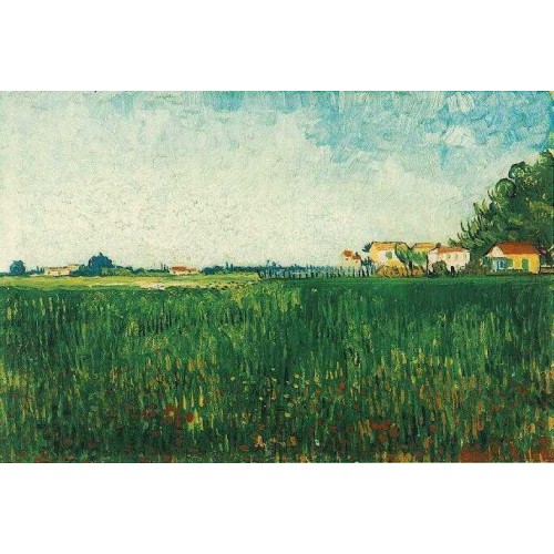 Farmhouses in a Wheat Field Near Arles