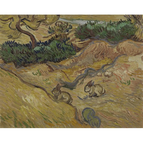 Field with two rabbits