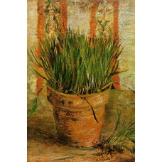 Flowerpot with Chives