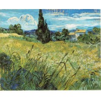 Green Wheat Field with Cypress