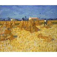Harvest in provence