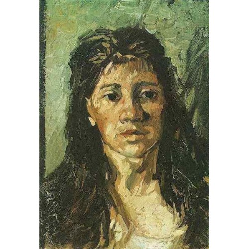 Head of a Woman with her Hair Loose