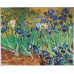 Irises - oil painting reproduction