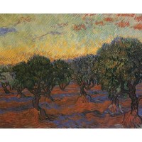 Olive Grove Orange Sky