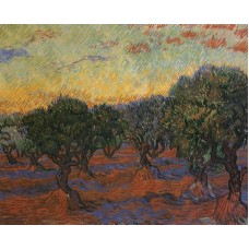 Olive Grove Orange Sky