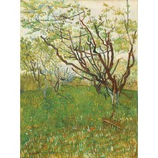 Orchard in Blossom 1