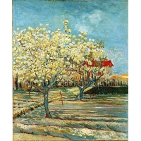 Orchard in Blossom 2
