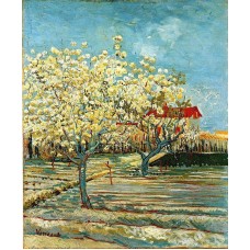 Orchard in Blossom 2